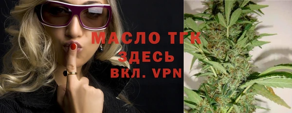 спиды Ельня